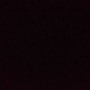 Meet your Posher, Jorge